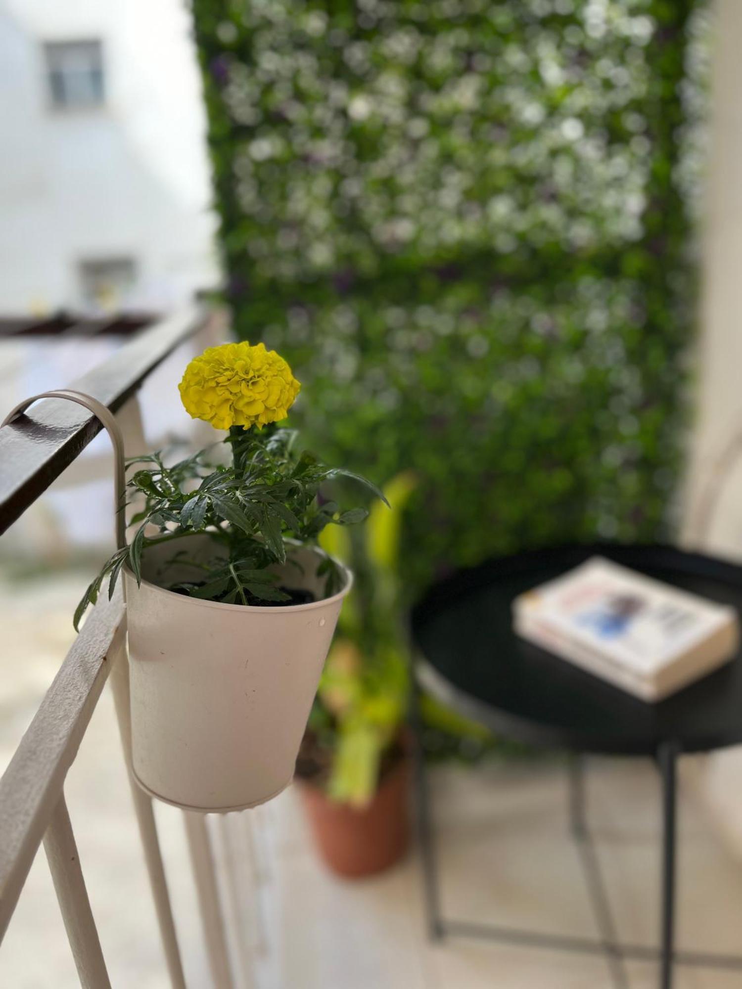 Christella Corfu Town Apartment エクステリア 写真